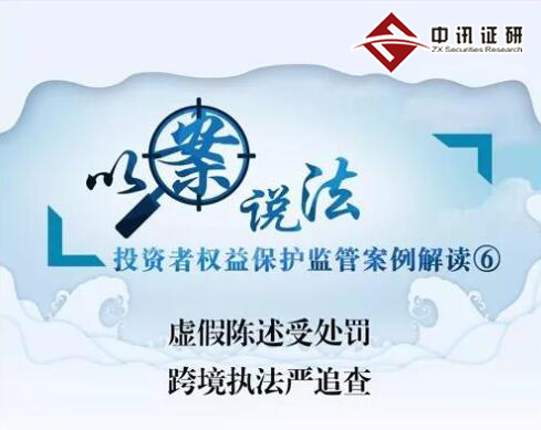 虛假陳述受處罰 跨境執(zhí)法嚴(yán)追查