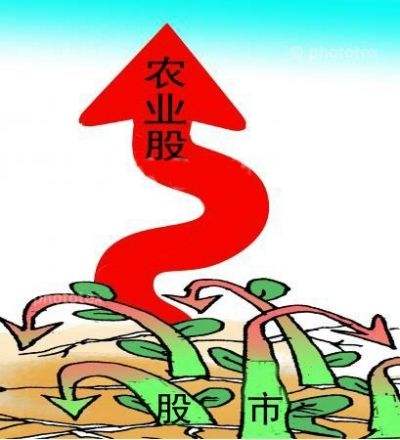 中央一號文件來了！連續(xù)16年聚焦同一主題 這些農(nóng)業(yè)股聞風先動