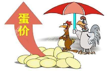 “火箭蛋”又來襲 蛋價(jià)后期仍有上漲可能